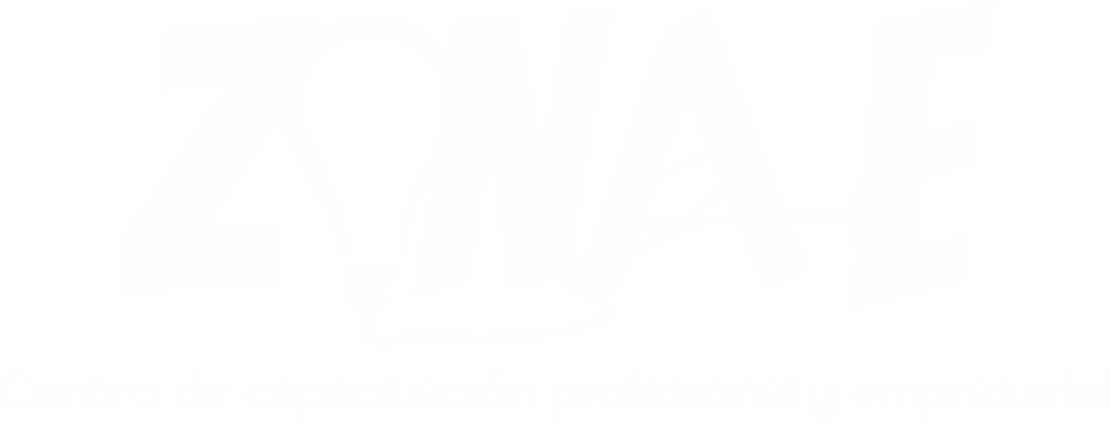 E. V. A. 1.0